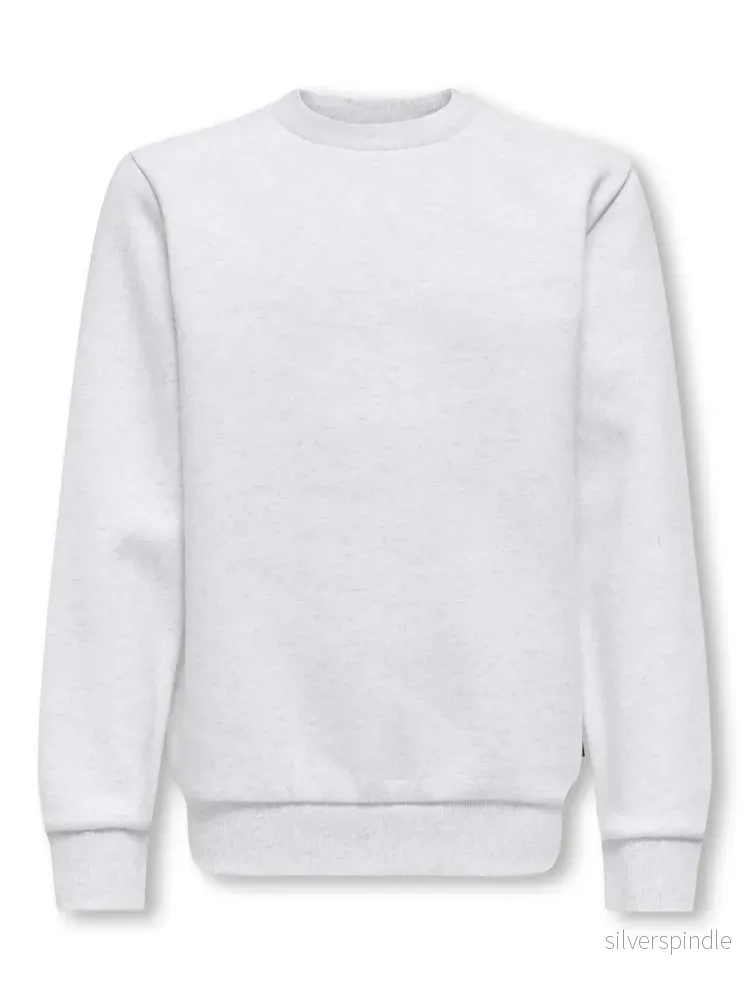 JR CERES CREW SUPER LIGHT GREY - Bild 3