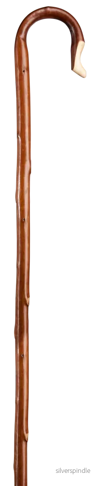 Herdestav kastanj - ljus bark lång - Bild 3
