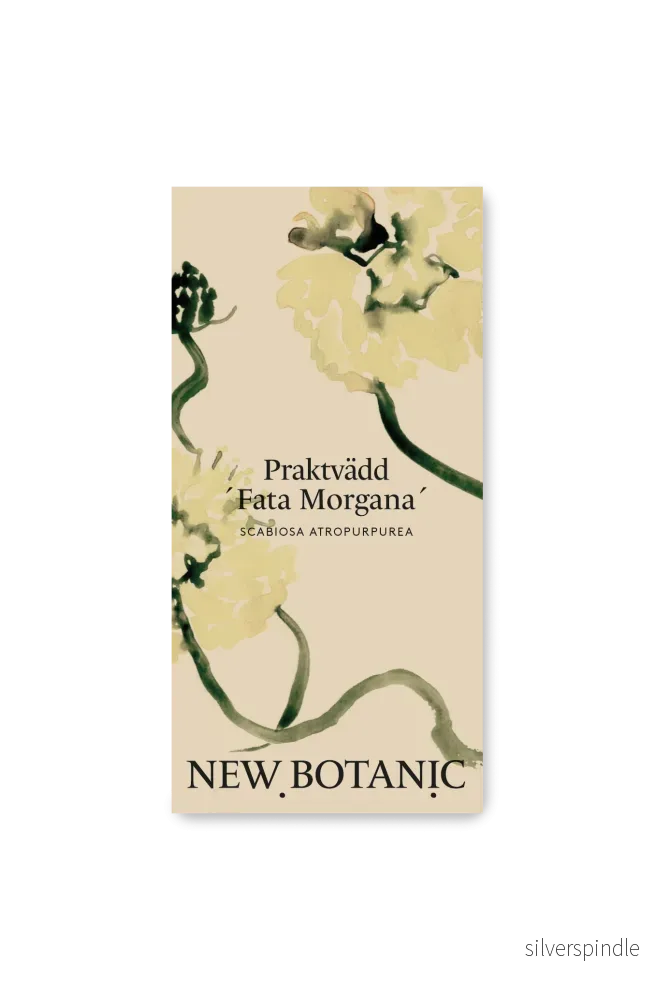 Praktvädd ’Fata Morgana’