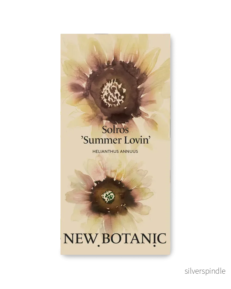 Solros ' Summer Lovin' - Nyhet!