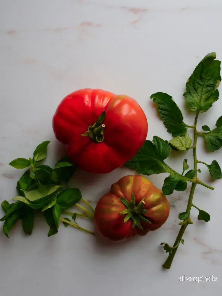 Frökollektion med ekologiska gourmettomater - Bild 2