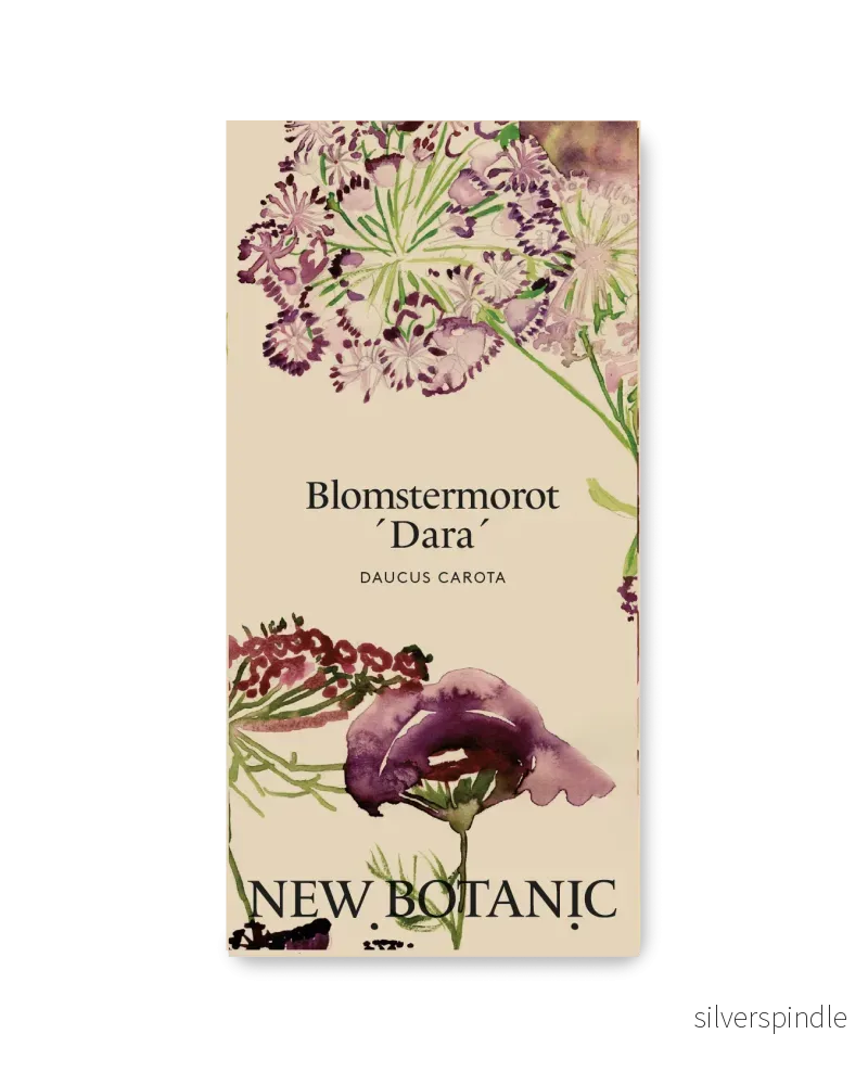 Blomstermorot ’Dara’ Blomstermorot ’Dara’