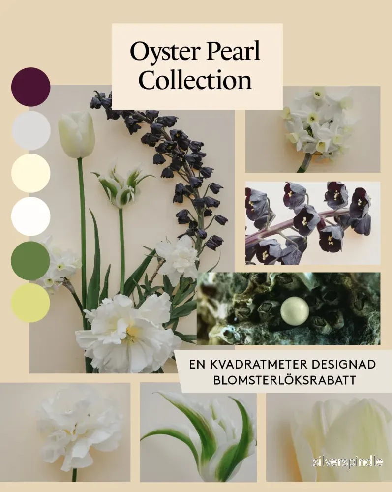Oyster Pearl Collection – designad blomsterlöksrabatt