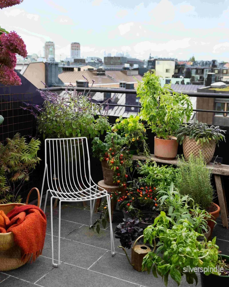Balcony Beauty Collection – För balkongodlaren