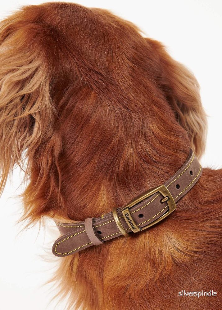 Barbour Leather Dog Collar Brown