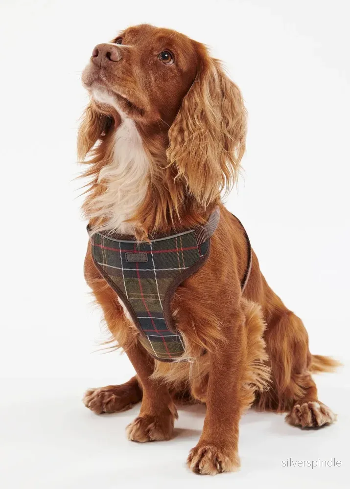 Barbour Travel & Exercise Harness