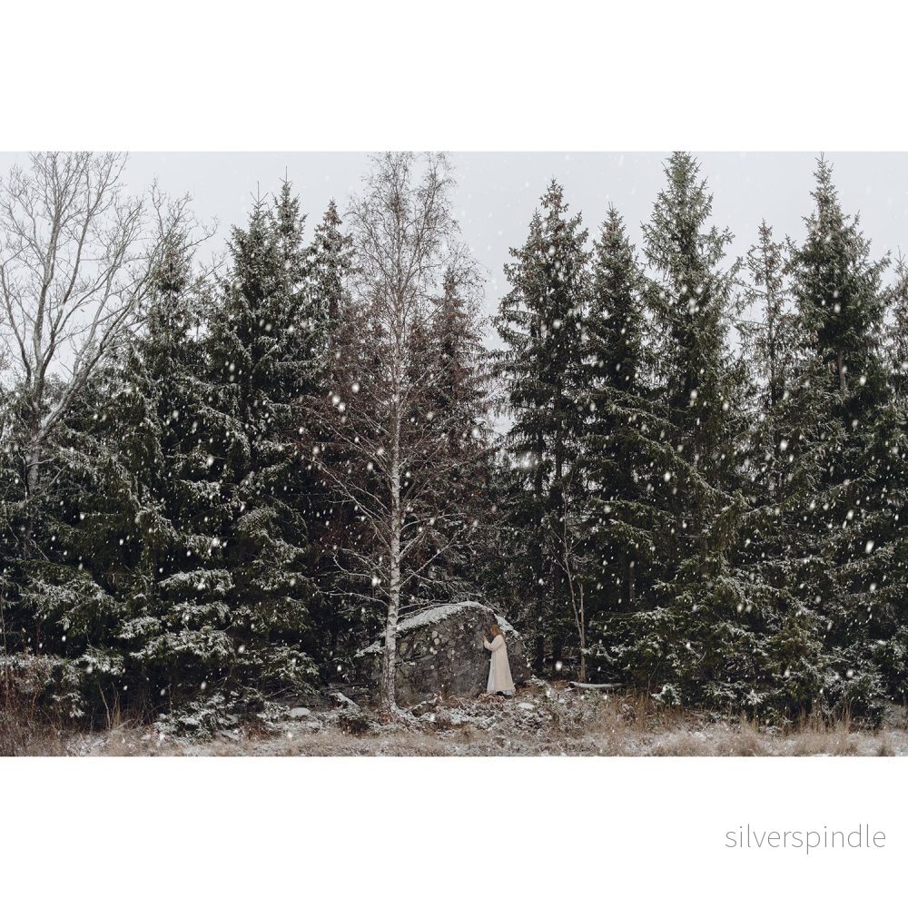 En sten under snön i en skog · Fine Art