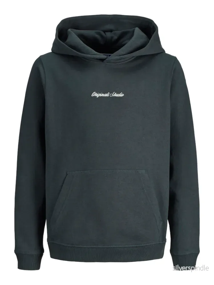 Hoodie Hoodie