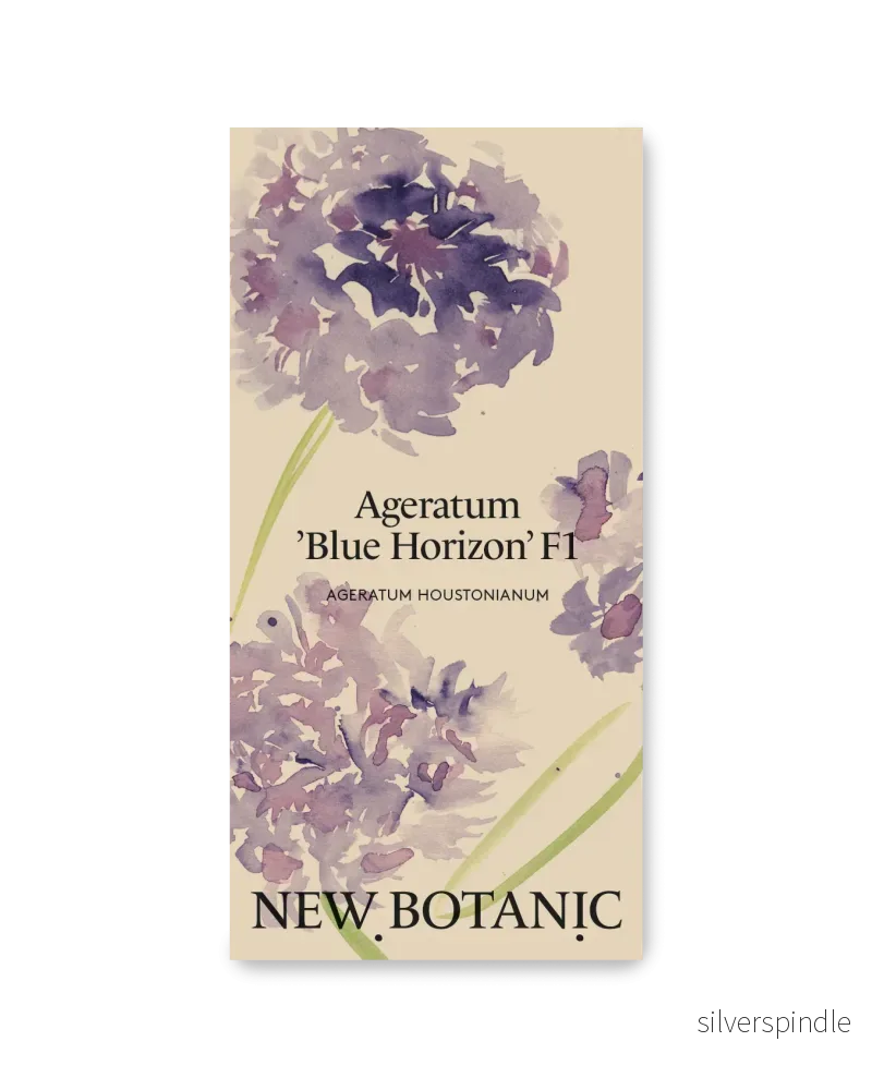Ageratum ’Blue Horizon’ F1 – Nyhet! Ageratum ’Blue Horizon’ F1 – Nyhet!