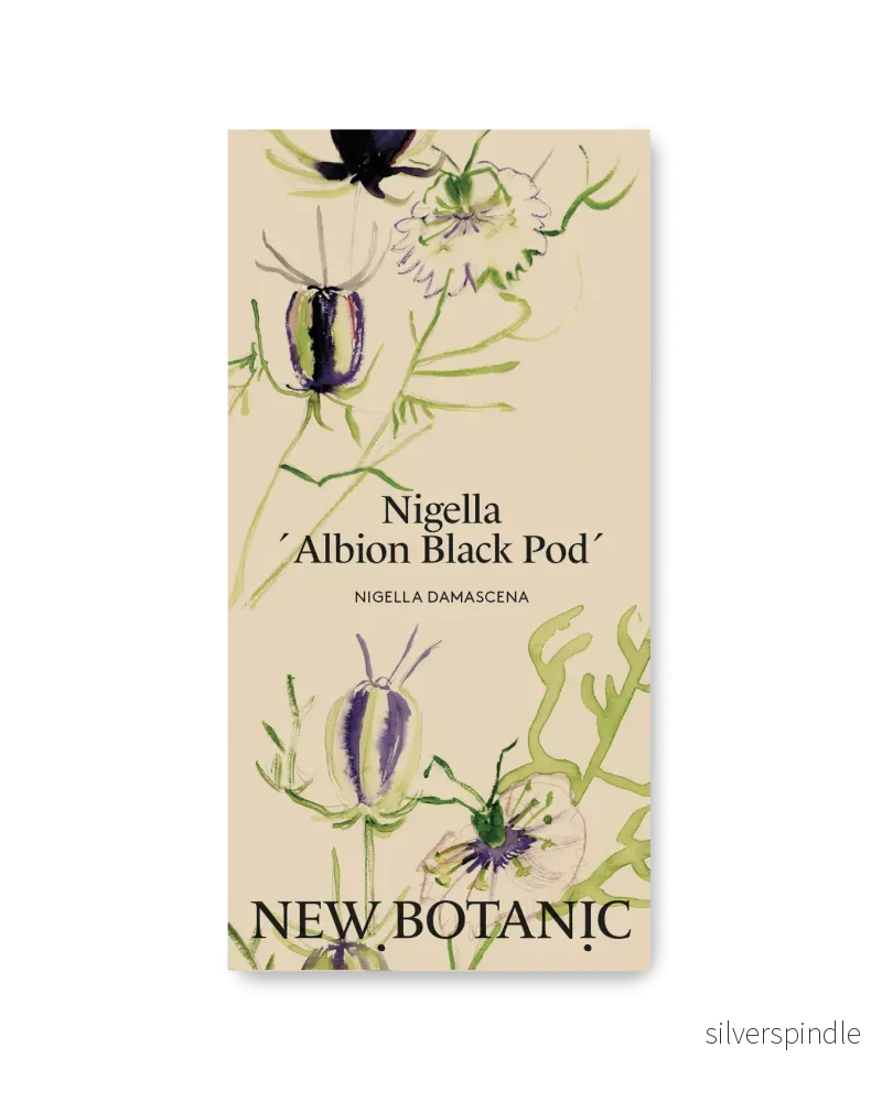 Nigella ´Albion Black Pod´