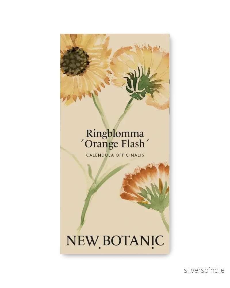 Ringblomma ’Orange Flash’ Ringblomma ’Orange Flash’
