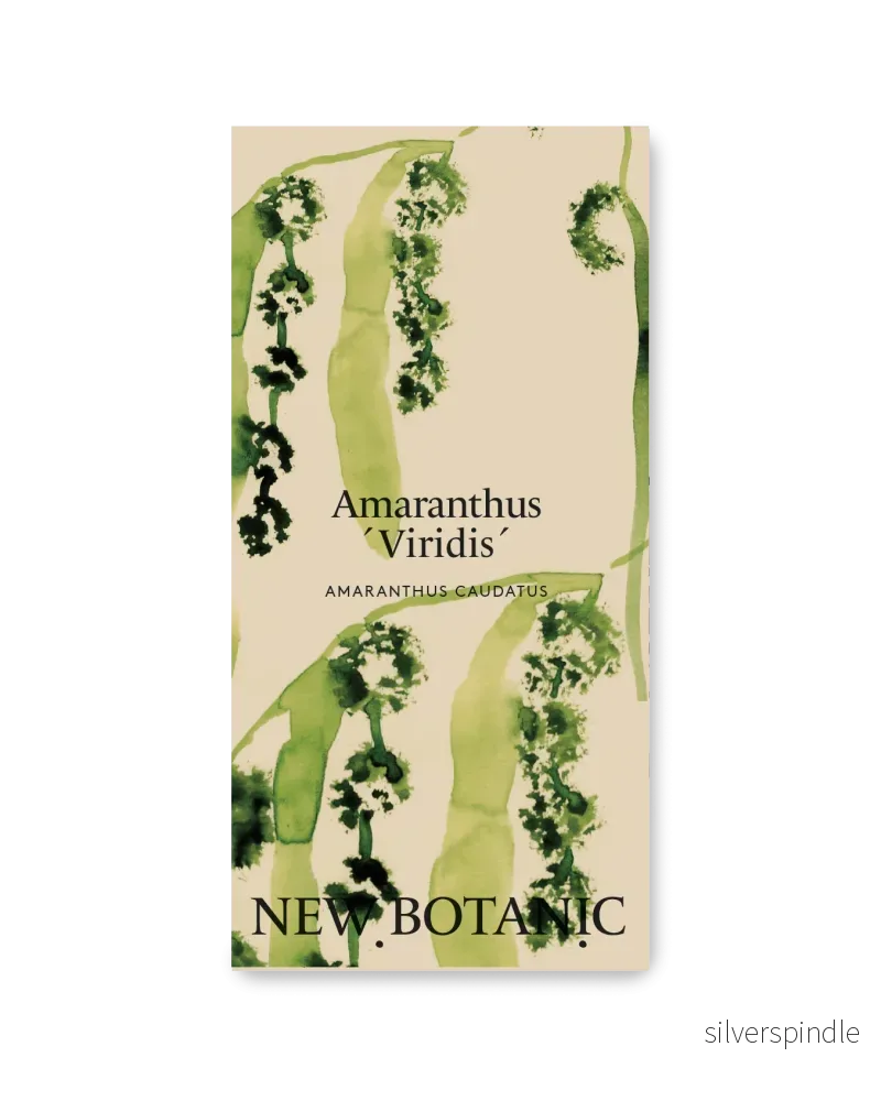 Amarant ’Viridis’ Amarant ’Viridis’