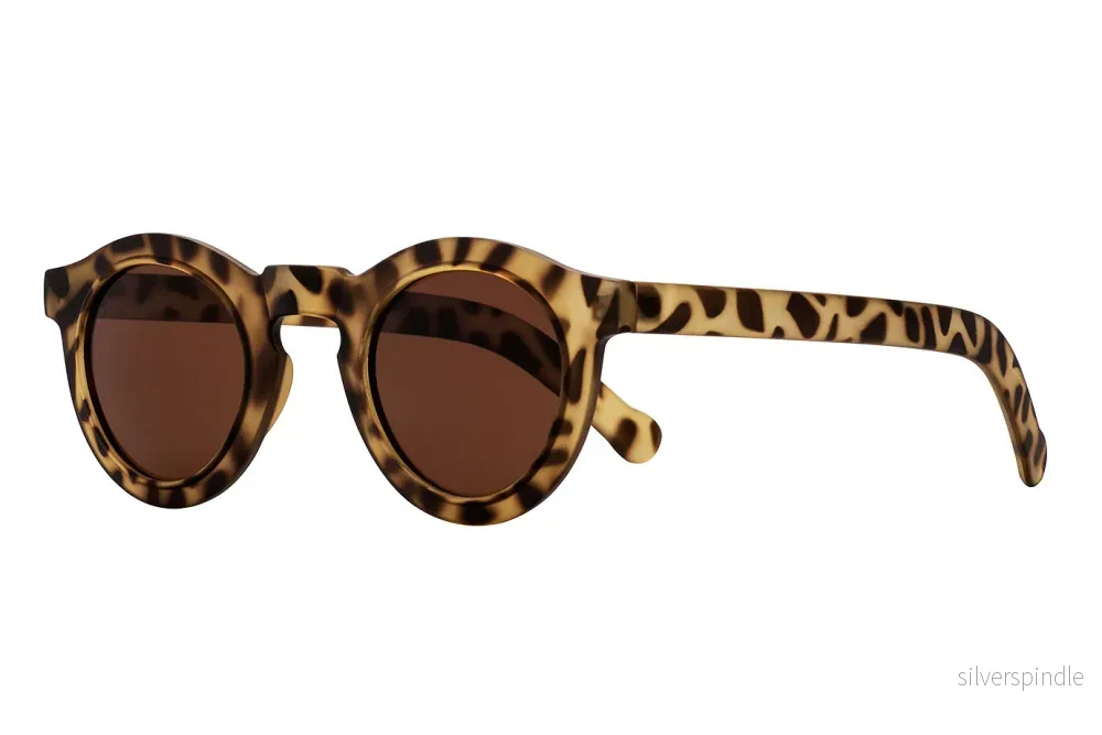 SB-RAOUL foggy turtle brown bifocal w power Sunglasses - Bild 2
