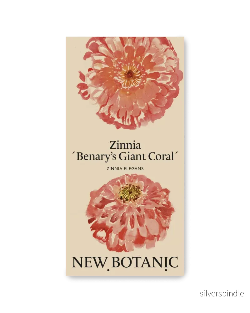 Zinnia ’Benary’s Giant Coral’ – Nyhet! Zinnia ’Benary’s Giant Coral’ – Nyhet!