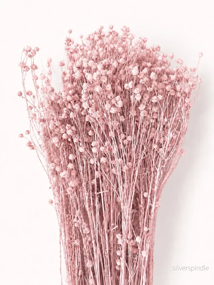 Torkat rosa lin – skira frökapslar - Bild 2