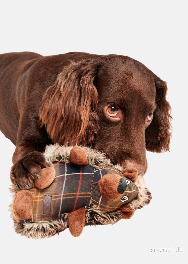 Barbour Dog Hedgehog Toy - Bild 2