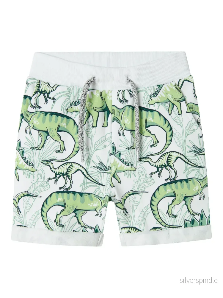 Sweatshirt Shorts Dino Sweatshirt Shorts Dino