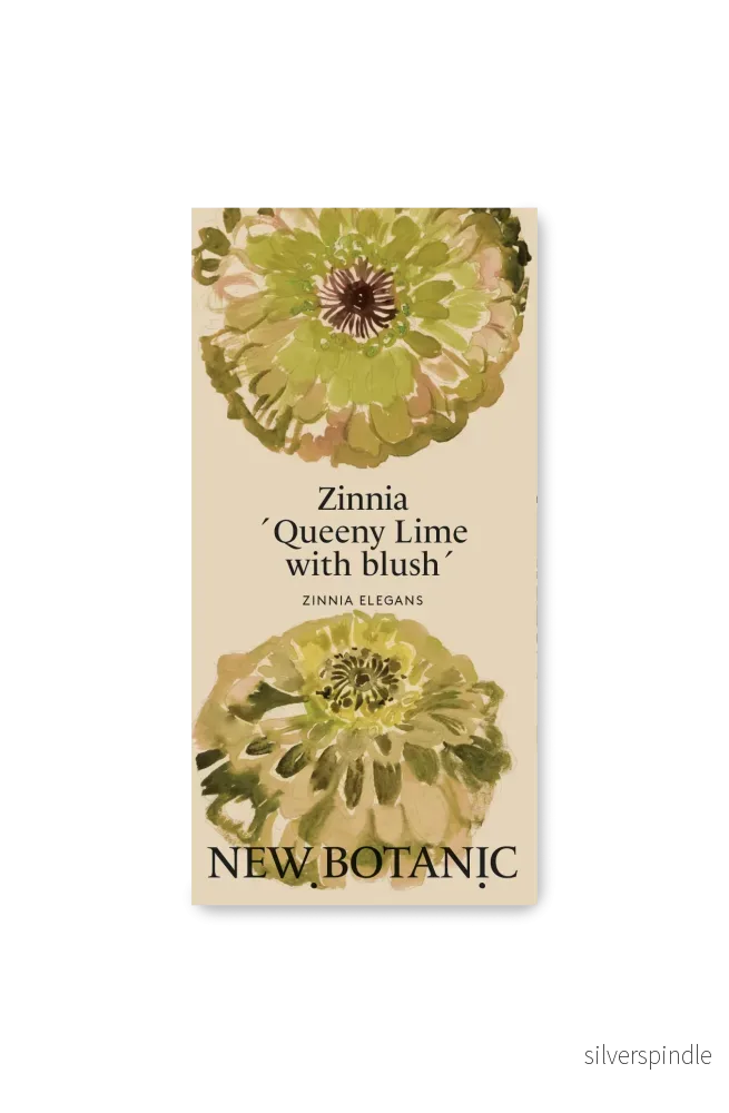 Zinnia ´Queeny Lime with blush´