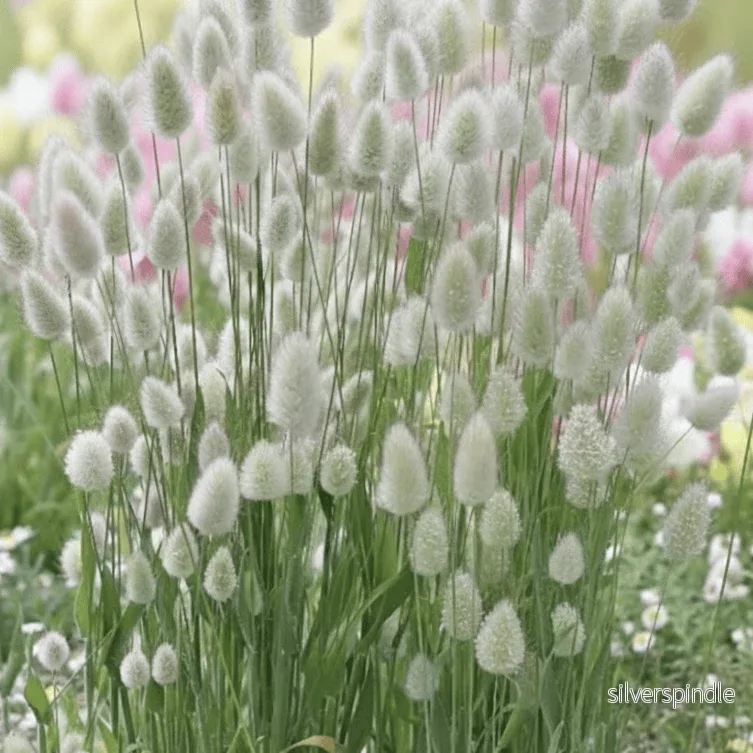 Harsvans ‘Bunny Tails’ - Bild 3